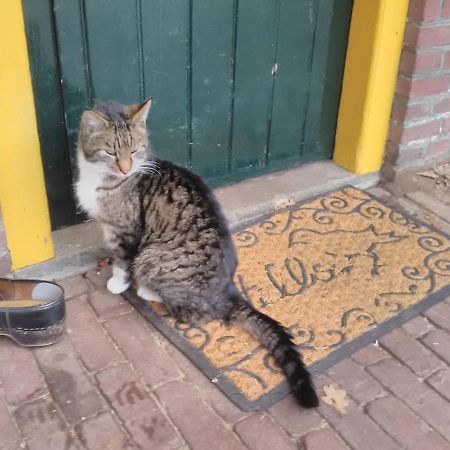 Appartement Hoeve Polsdonk Oirschot Exterior foto